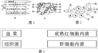 孟德?tīng)栠z傳規(guī)律為何不適用于細(xì)菌等單細(xì)胞生物？