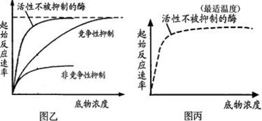 合成技術(shù)研發(fā)中的酶競(jìng)爭(zhēng)性抑制機(jī)制及其啟示